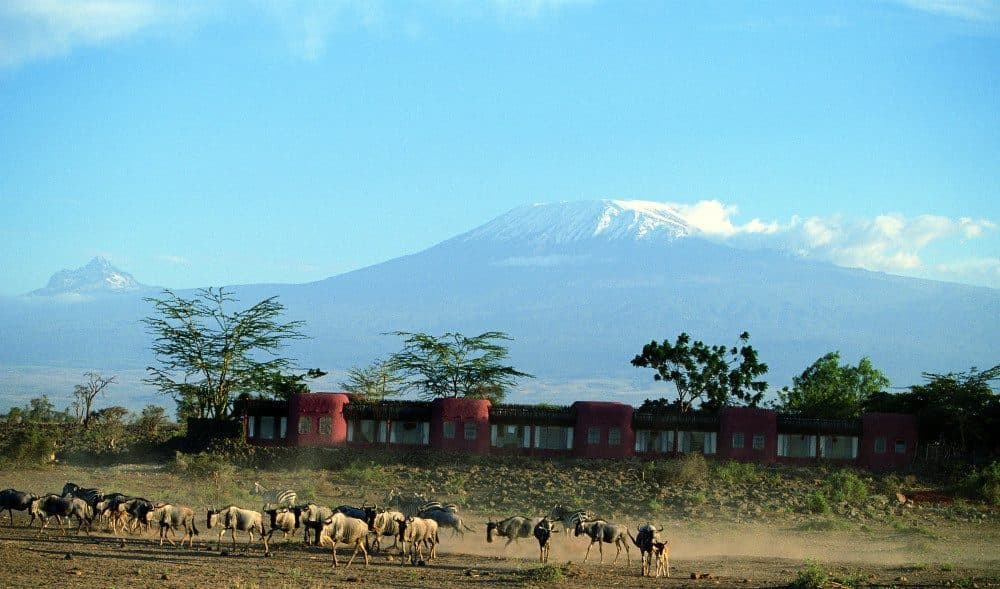 3-Day Amboseli Elephant Encounters & Kilimanjaro Luxury Safari