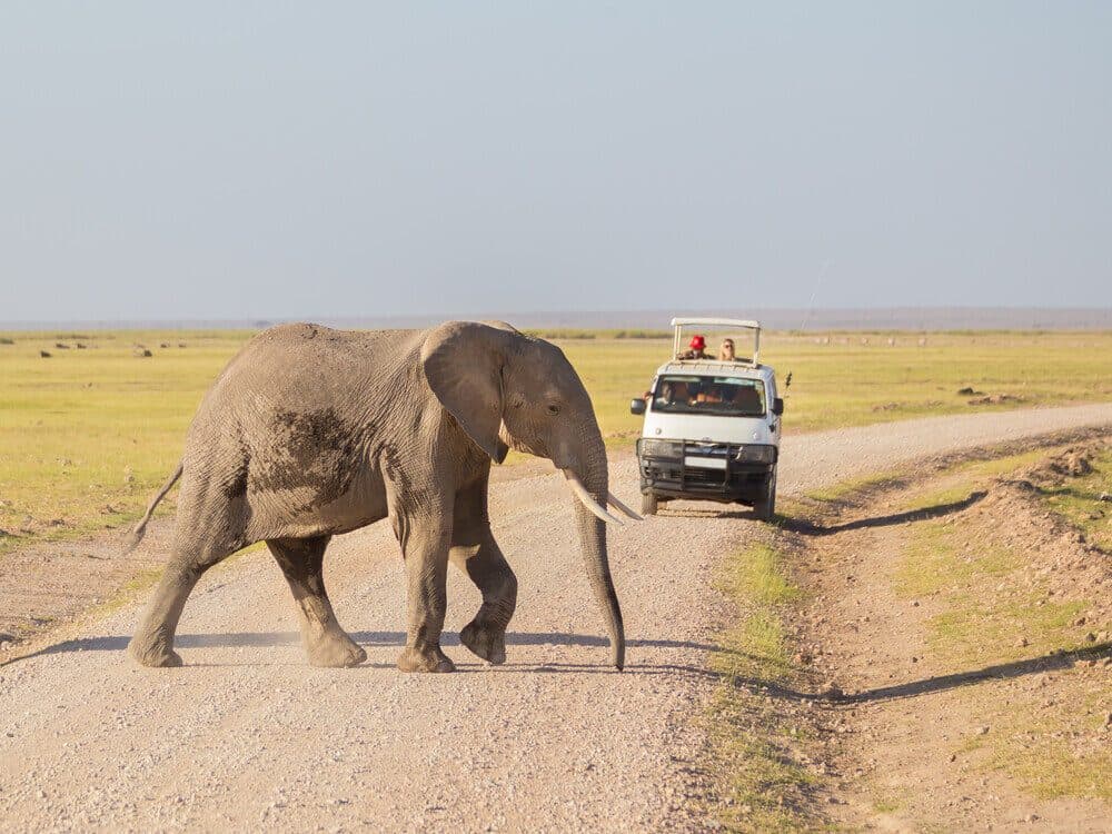 7-Day Kenya & Tanzania Migration Flying Safari for Couples