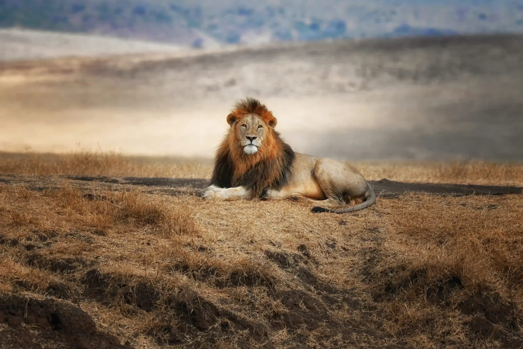 Ngorongoro Conservation Area, Tanzania