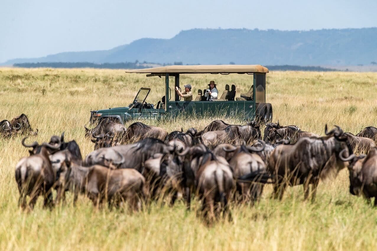 Safari vehicle watching the Great Migration in East Africa