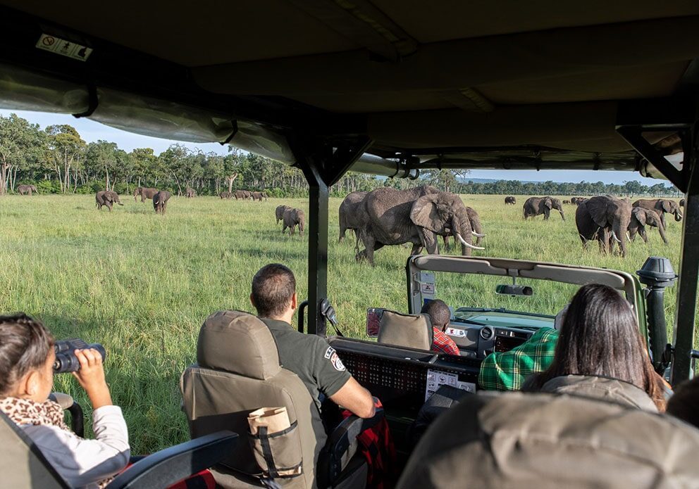 Travelers enjoying a private safari game drive