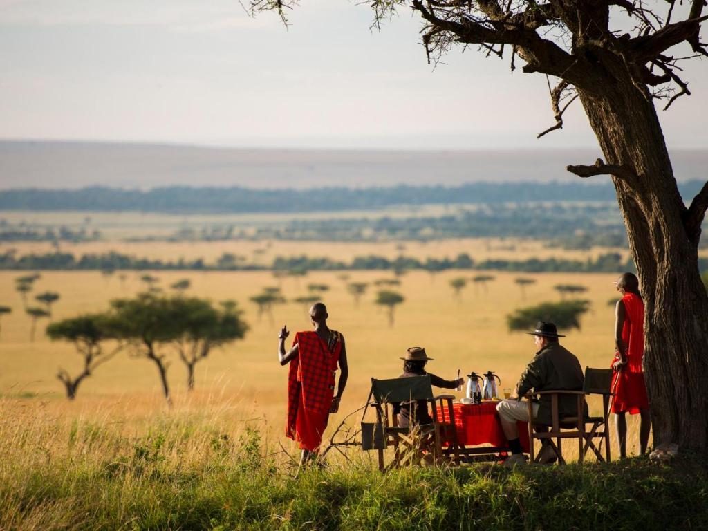 Safari picnic lunch in the wild