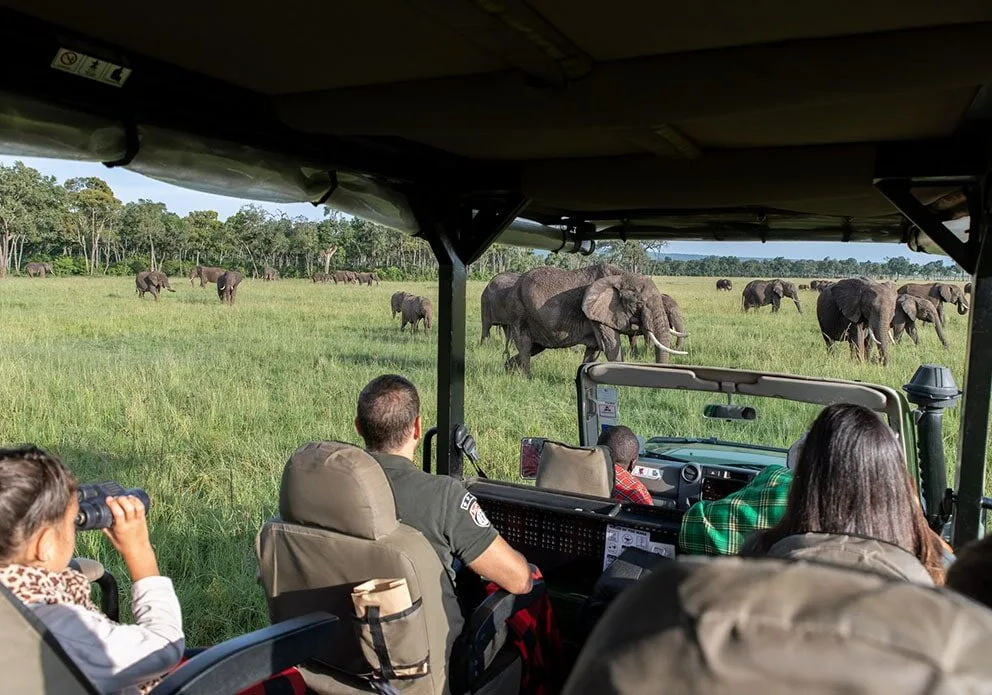 Senior-Friendly Safari Planning: Comfort, Accessibility, and Pacing